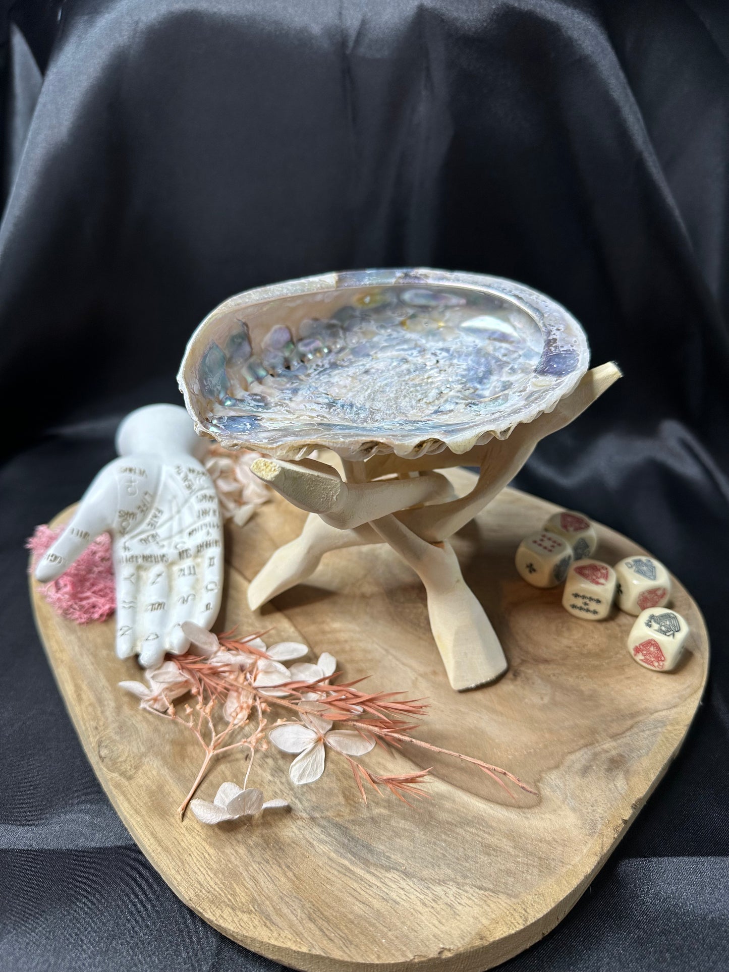 Coquille d'Ormeau Taille M & Son Trépied