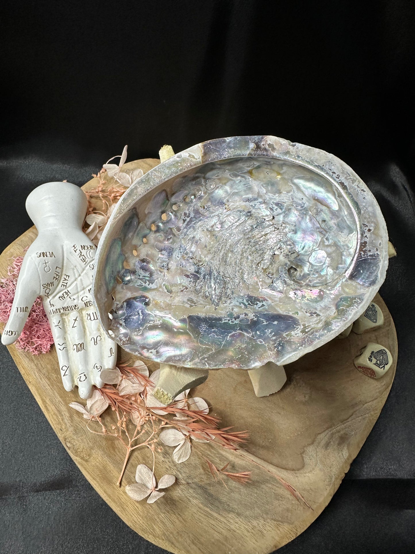 Coquille d'Ormeau Taille M & Son Trépied