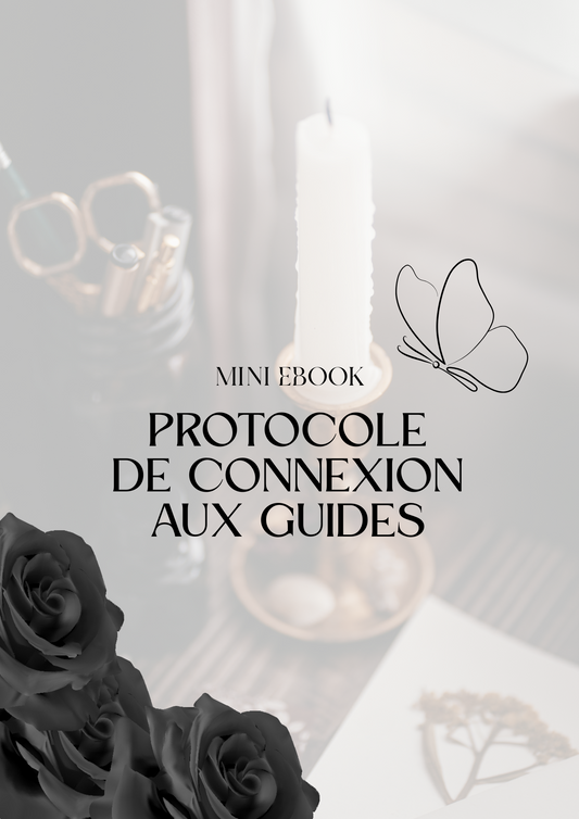 MINI PROTOCOLE DE CONNEXION AUX GUIDES - GRATUIT