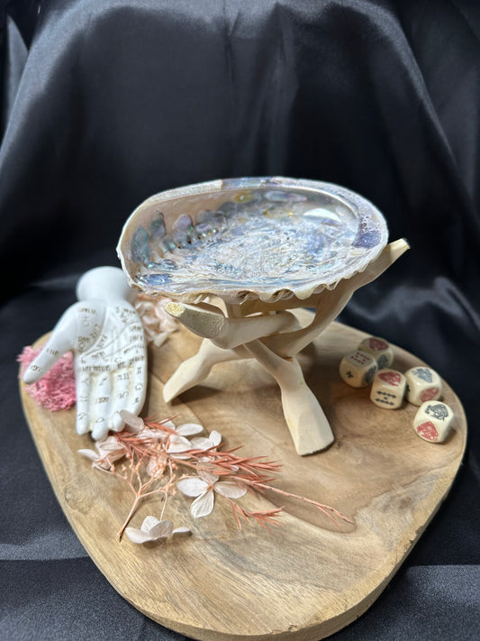 Coquille d'Ormeau Taille M & Son Trépied